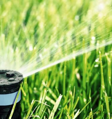 Rasen düngen im Frühjahr Liebe Deinen Garten